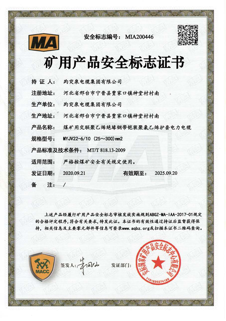 礦用產(chǎn)品安全標志證書