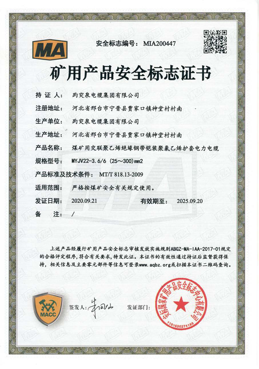 礦用產(chǎn)品安全標志證書